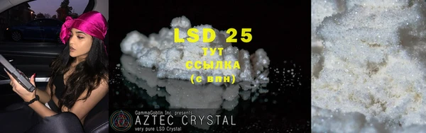 стафф Долгопрудный